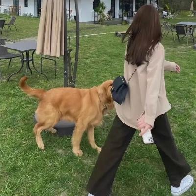 精神狂躁症
